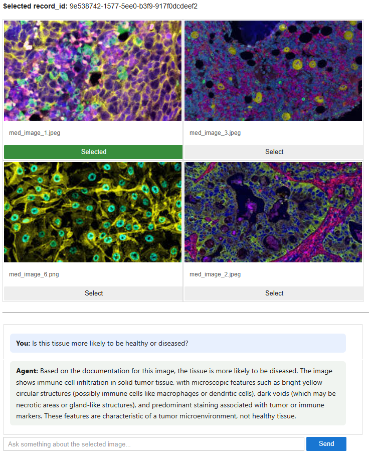 Agentic medical image question-and-answer experience